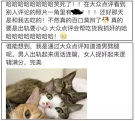 吃瓜大众评论区,揭秘网络评论区背后的真相