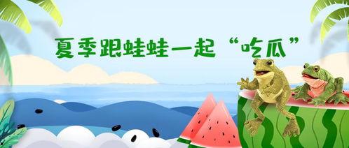 吃瓜蛙卖什么,揭秘独特美食之旅