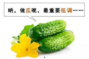 女生喜欢什么吃瓜模式,这些瓜，她最感兴趣！