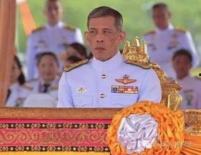 同庆吃瓜,揭秘娱乐圈的甜蜜与苦涩