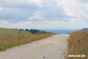 梦见吃地里的瓜,瓜田里的美味诱惑