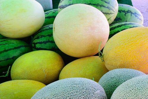 云南哪里吃瓜便宜