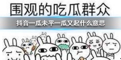 抖音吃瓜教授,揭秘网络热点背后的真相与笑料