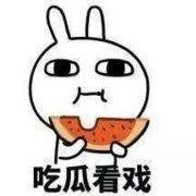 大黄吃瓜表情,趣味横生的网络新宠