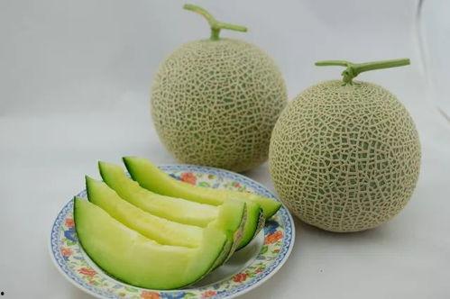 夏天吃瓜还是吃果,瓜果飘香，清凉一夏