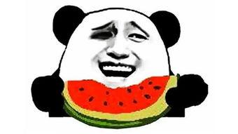 吃瓜网回家,揭秘娱乐圈背后的故事