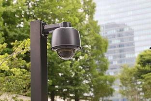 摄像头显示吃瓜,一场视觉与味蕾的双重盛宴