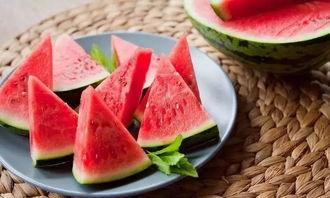 快速吃瓜音乐,轻松驾驭潮流，畅享音乐盛宴