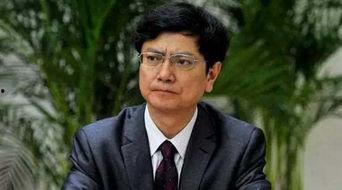 吃瓜郑强,揭秘娱乐圈背后的故事与真相