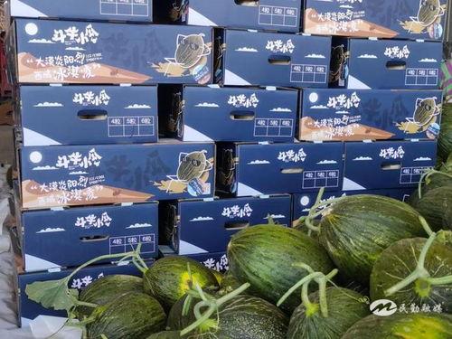 斗牛小瓜怎么吃,轻松解锁美味新境界