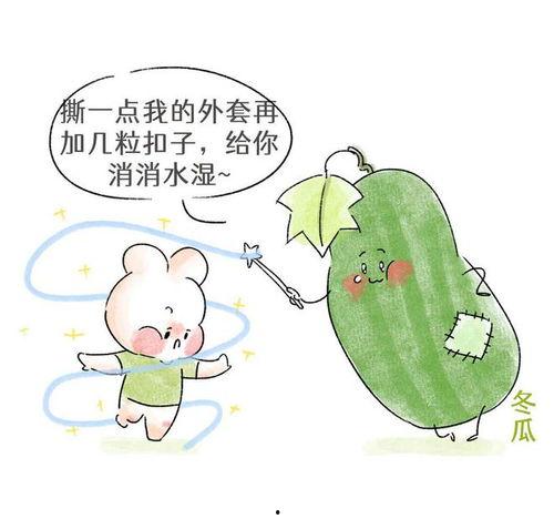 吃瓜能去湿热吗,揭秘夏日去湿热的小秘密