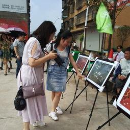 文山吃瓜群众事件,一场网络舆论的风暴与反思