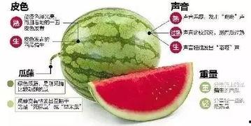 微信法律吃瓜,揭秘网络社交的法律边界与风险