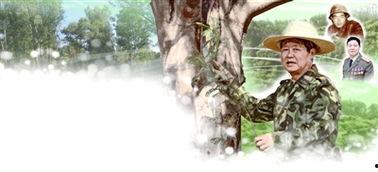 柳树湾吃瓜,一场别开生面的吃瓜狂欢