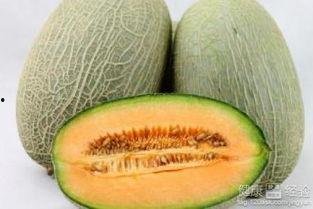 肥猪吃哈密瓜,一场味蕾与健康的邂逅