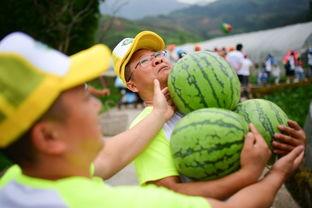 十八楼cp吃瓜,揭秘明星恋情背后的甜蜜与争议