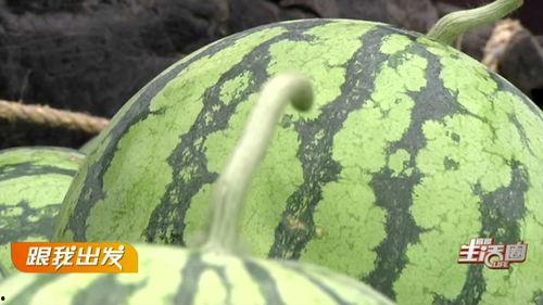 宜昌吃瓜大叔,揭秘宜昌街头美食传奇