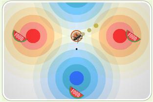 蚂蚁吃瓜手工,揭秘昆虫界的“美食家”日常