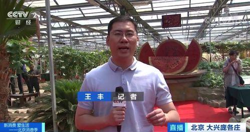 记者带你吃瓜视频,吃瓜视频背后的真实故事