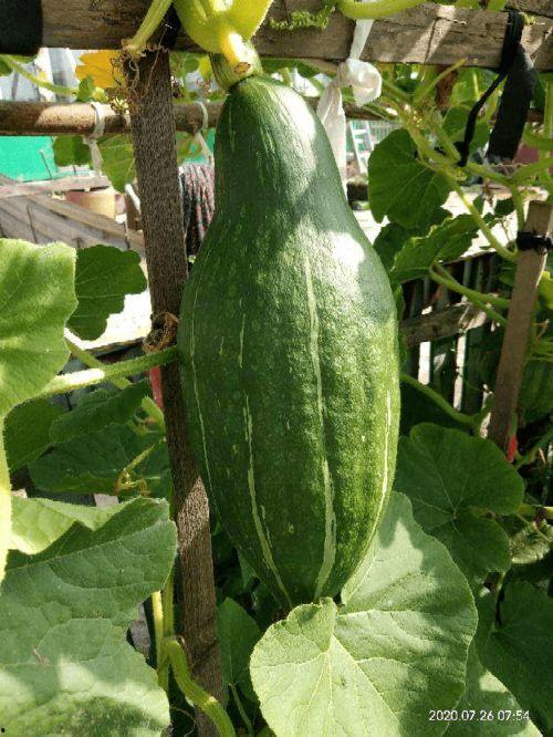 琴奇吃瓜,揭秘娱乐圈背后的那些事儿