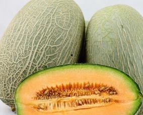 吃哈密瓜过夏天,清凉一夏的甜蜜解暑之道